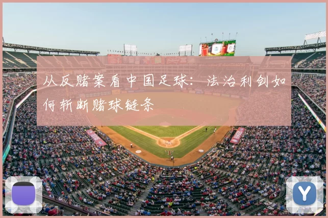 从反赌案看中国足球:法治利剑如何斩断赌球链条