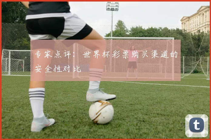 专家点评:世界杯彩票购买渠道的安全性对比