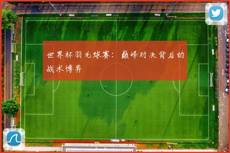 世界杯羽毛球赛:巅峰对决背后的战术博弈