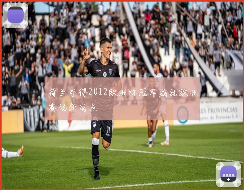 荷兰夺得2012欧洲杯冠军成就欧洲赛场新高点