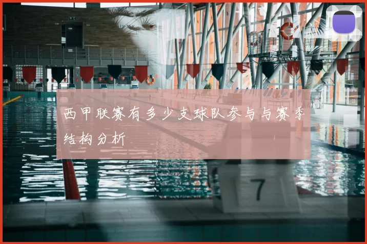 西甲联赛有多少支球队参与与赛季结构分析
