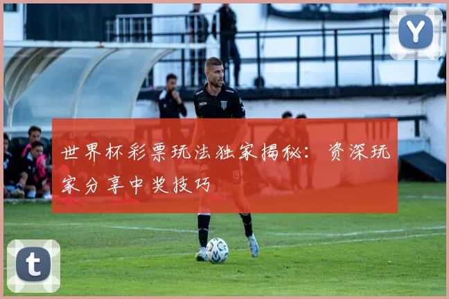 世界杯彩票玩法独家揭秘：资深玩家分享中奖技巧