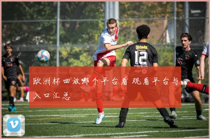 欧洲杯回放哪个平台看 观看平台与入口汇总