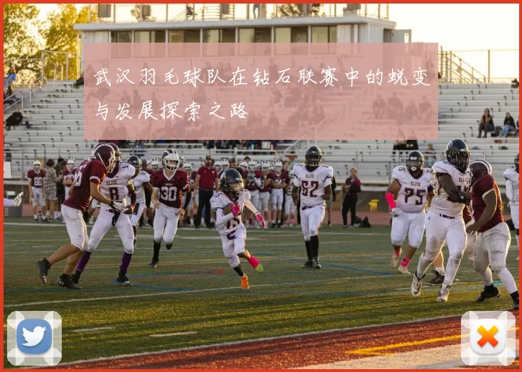 武汉羽毛球队在钻石联赛中的蜕变与发展探索之路