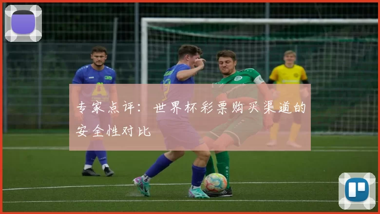 专家点评：世界杯彩票购买渠道的安全性对比