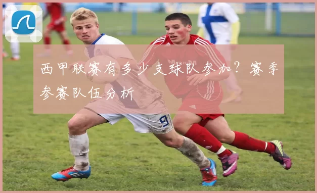 西甲联赛有多少支球队参加？赛季参赛队伍分析