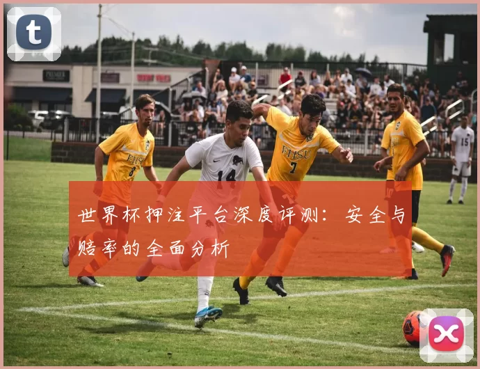 世界杯押注平台深度评测:安全与赔率的全面分析