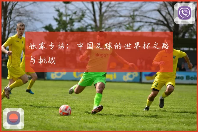 独家专访：中国足球的世界杯之路与挑战