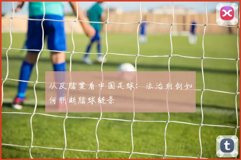 从反赌案看中国足球：法治利剑如何斩断赌球链条