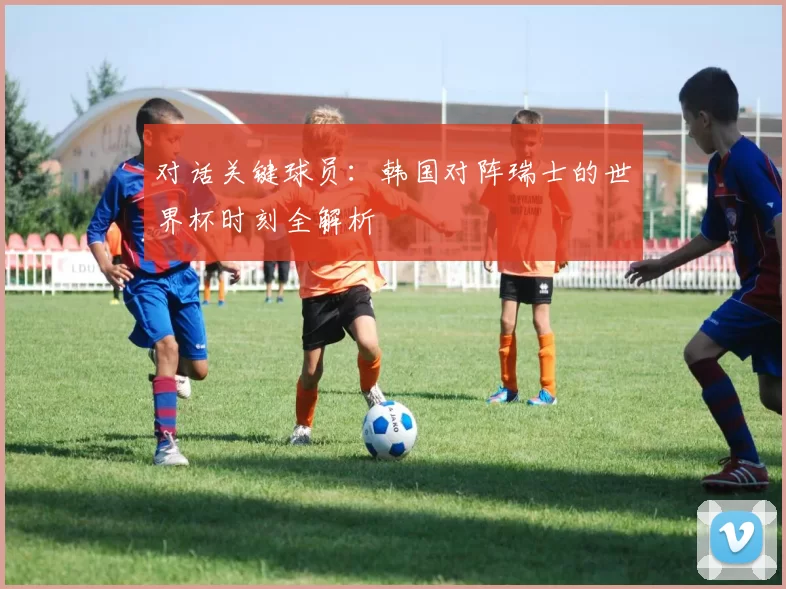 对话关键球员：韩国对阵瑞士的世界杯时刻全解析
