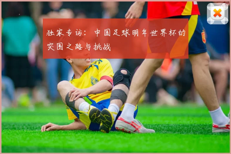 独家专访：中国足球明年世界杯的突围之路与挑战