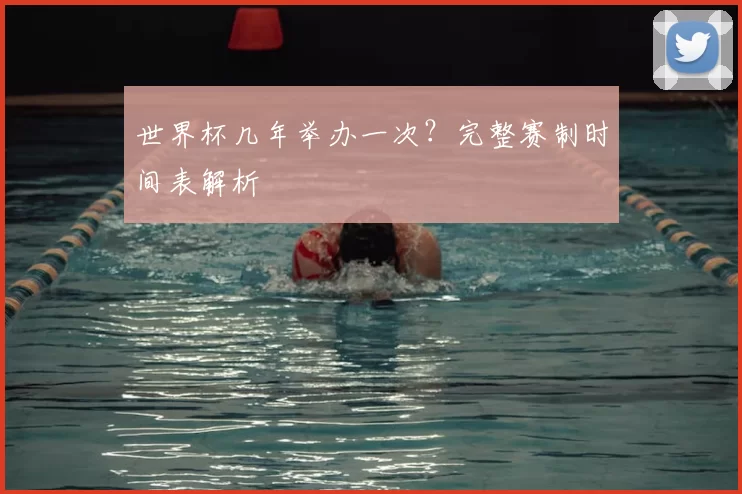 世界杯几年举办一次?完整赛制时间表解析