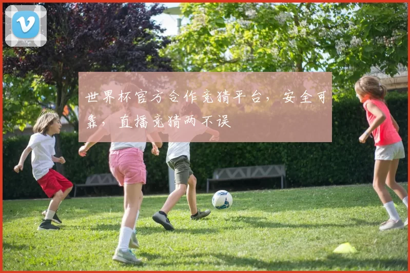 世界杯官方合作竞猜平台，安全可靠，直播竞猜两不误
